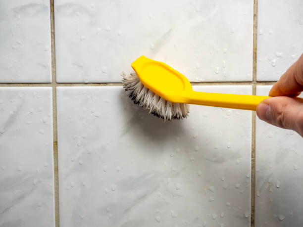 Home Mold Removal in Sprague, WV
