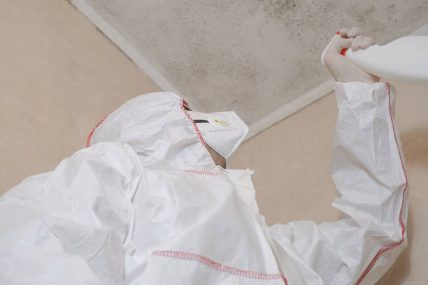 Best Mold Cleaning Services  in Sprague, WV